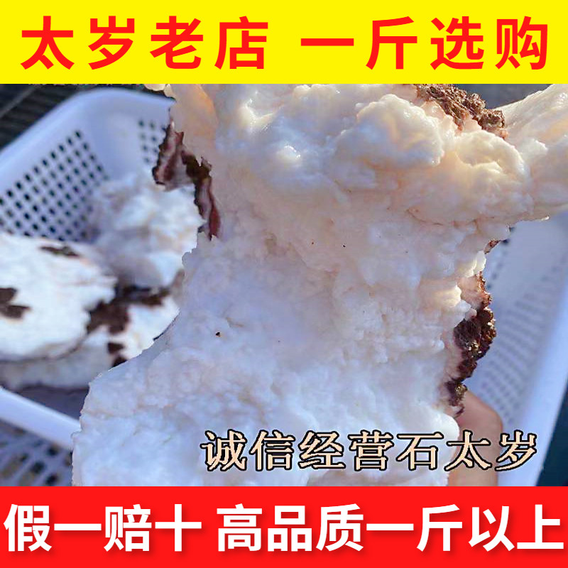 【太岁老店】长白山千年太岁纯天然野生白肉石太岁活体泡水肉灵芝
