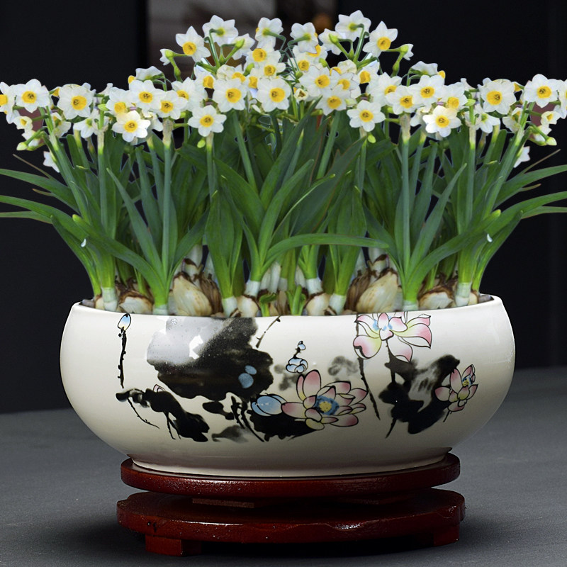 中国风创意铜钱草水培水仙花盆陶瓷家用个性大号水养睡莲圆形花盘