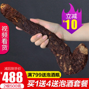 苁蓉王内蒙古阿拉善油肉苁蓉500g整根泡酒中药材店铺送锁阳正品