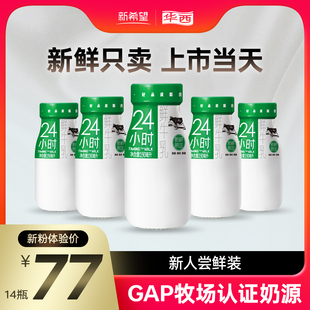 【新客专享鲜奶每日上门配送】华西24小时瓶装鲜牛奶190ml*14瓶