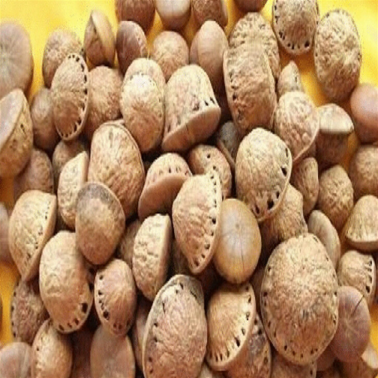 【善珂堂】风流果500g正品掉藤果龟头子厚鳞柯男泡料包邮