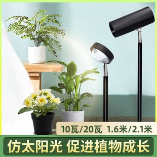 落地植物灯生长灯led专用上色全光谱室内热植绿植阳光多肉补光灯