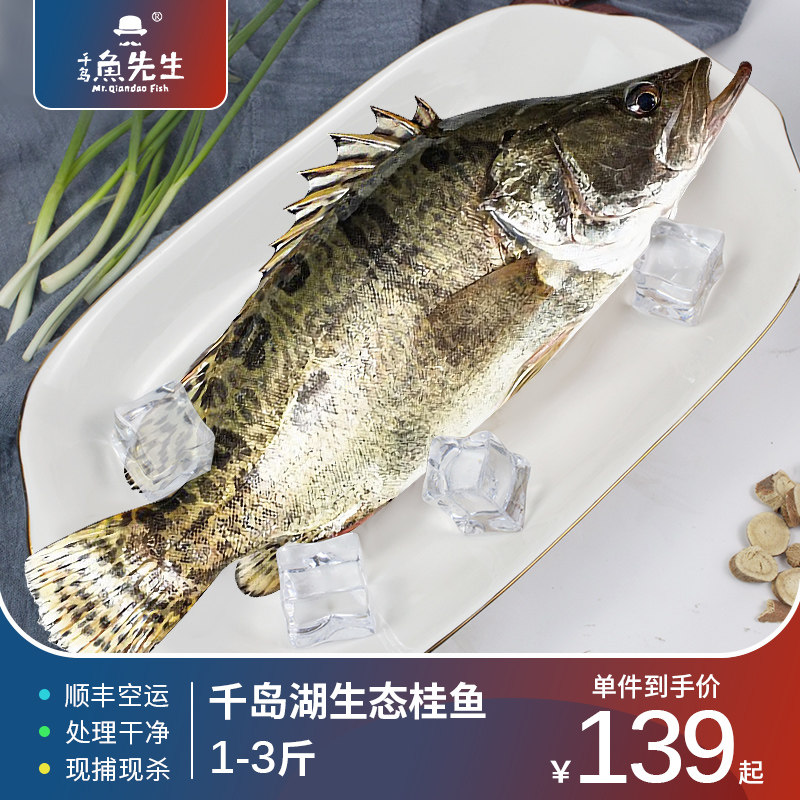 千岛鱼先生淡水大桂鱼千岛湖鲜活臭鳜鱼季花鱼鳌花桂花鱼活鱼现杀
