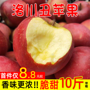 Luochuan Ugly Apple Rock Candy Heart Shaanxi Yan'an Red Fuji Non-Zhaotong Liangshan Fruit Fresh Season FCL 10kg