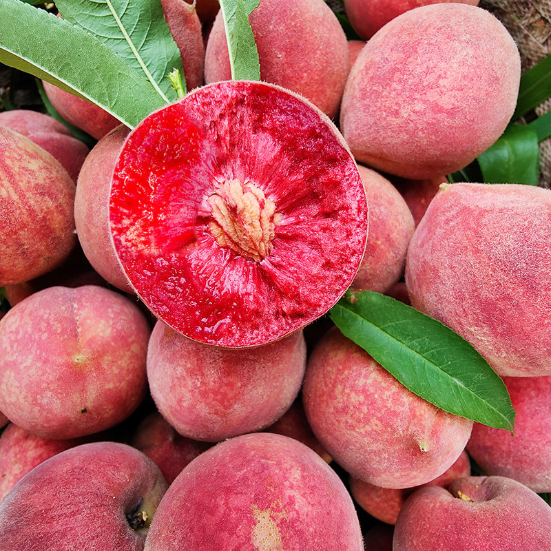 桃子5斤新鲜水果现摘现发红心血桃当季毛桃整箱脆桃应季水蜜桃子