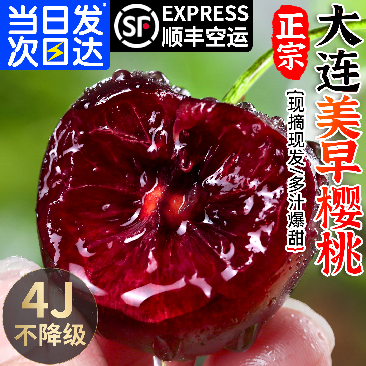 大连美早大樱桃新鲜水果顺丰包邮5斤装当季整箱4j3孕妇国产车厘子