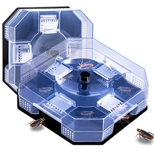 泰国蟑螂屋泰国图片