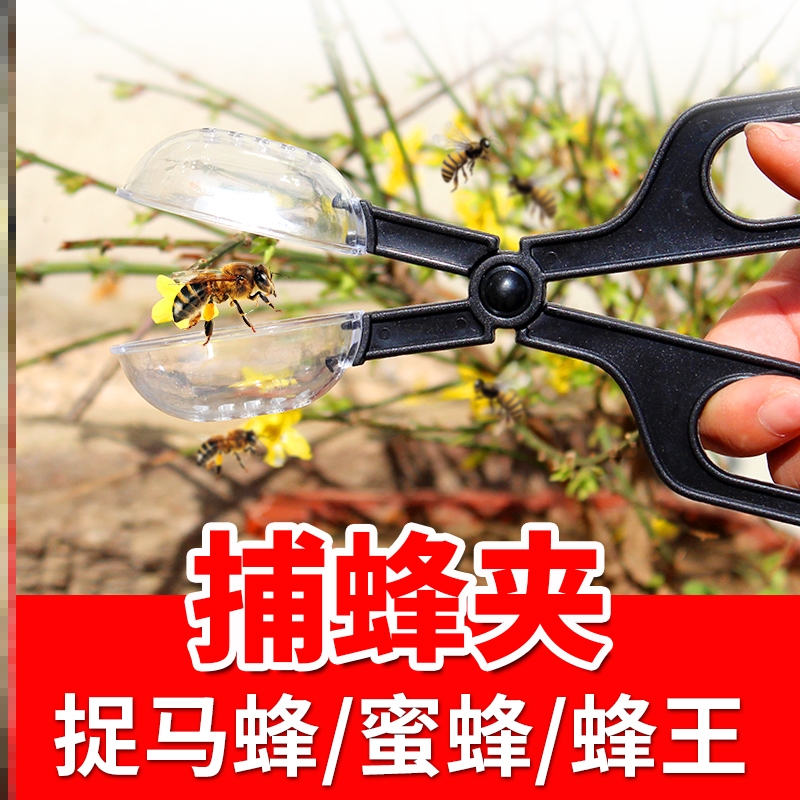 捕蜂夹蜜蜂捕王器野外收蜂专用捉捕蜂王夹抓胡蜂捕捉器养蜂工具
