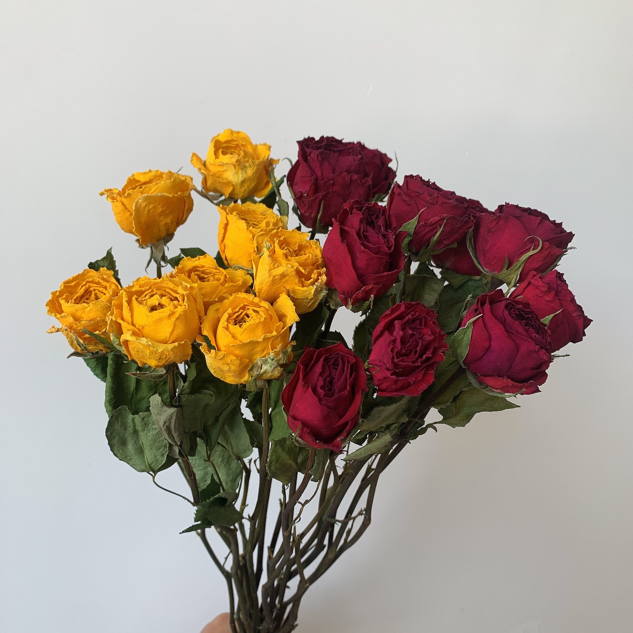 玫瑰干花花束真花风干ins网红装饰家居摆件diy文艺风插花拍摄道具