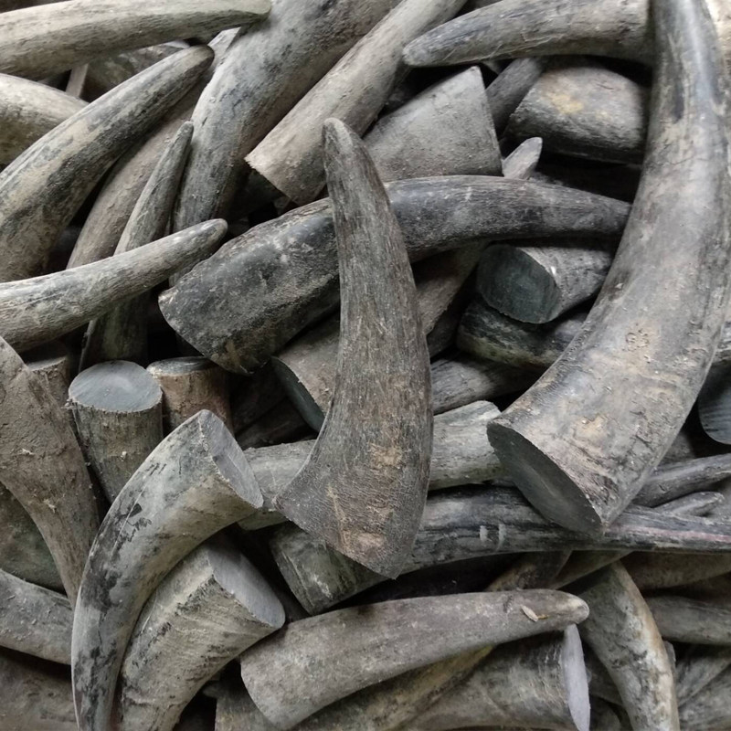 精选实心黑水牛角尖刀柄摆件手把佛珠烟嘴印章其他特色工艺品