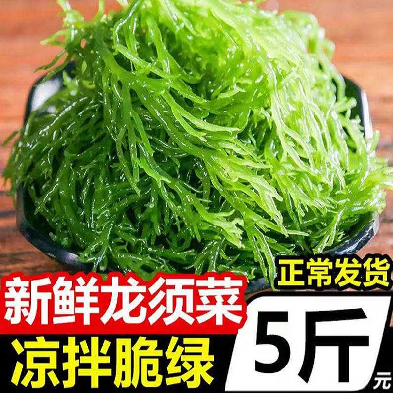 龙须菜新鲜龙须菜旗舰店龙须菜非干货