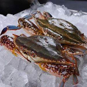 【大海鲜活图片】大海鲜活图片大全_q友网