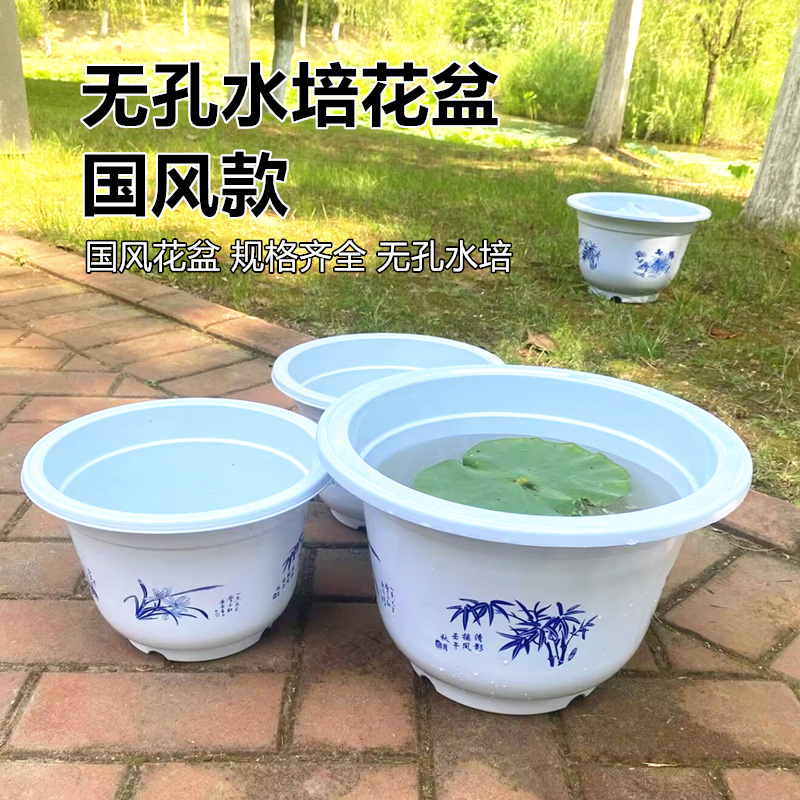 水培无孔荷花塑料花盆睡莲碗莲水养绿萝水生铜钱草养鱼圆形大花盆