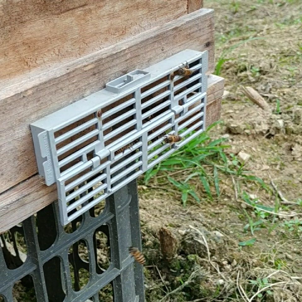 养蜜蜂专用工具中蜂蜜蜂防盗器防逃片防蜂王逃跑器防意蜂盗蜂