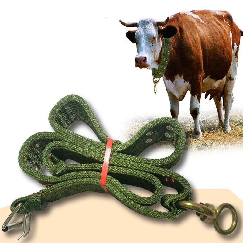 养牛场特大号的牛脖套羊笼头绳头套