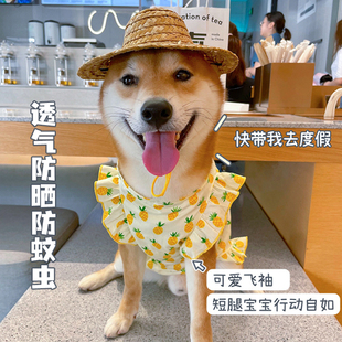 狗狗衣服薄款春秋季中小型犬柯基柴犬夏天防晒防掉毛防虫透气裙子