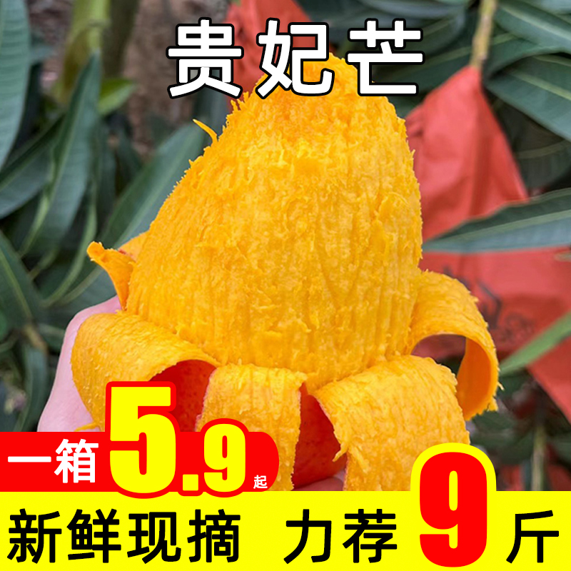 云南贵妃芒果新鲜孕妇水果9斤整箱当