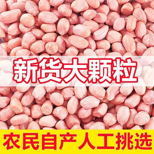 河南白沙花生米新鲜去壳粉红皮生花生仁煲汤油炸商用榨油种子批发