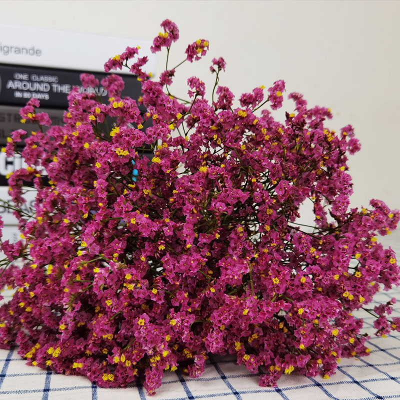 云南满天星水晶花花束客厅勿忘我