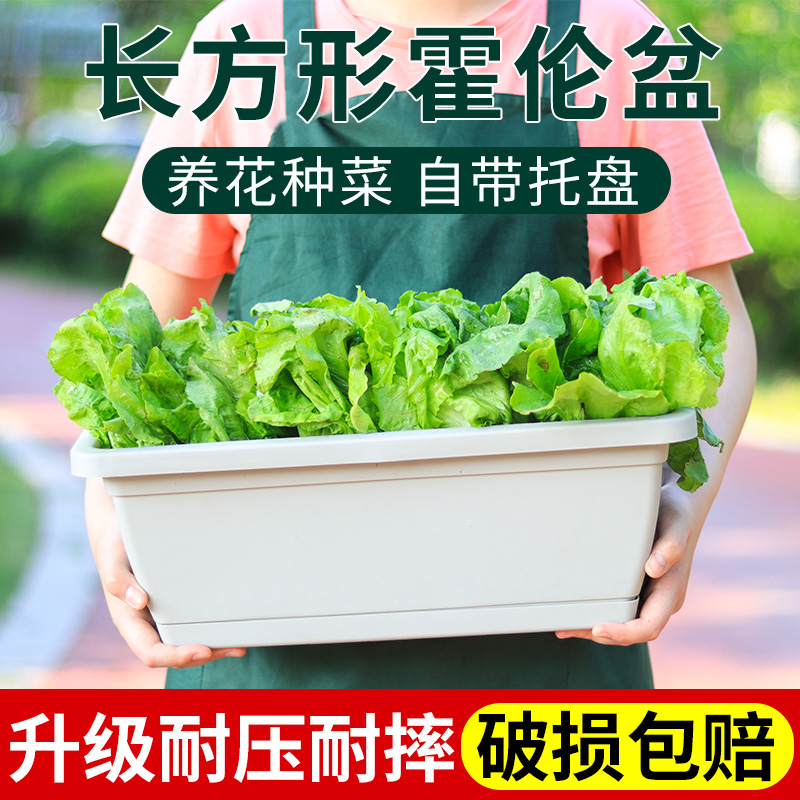 种菜盆阳台种菜盆长方形花盆塑料长条花盆家用种植盆种菜神器花盆