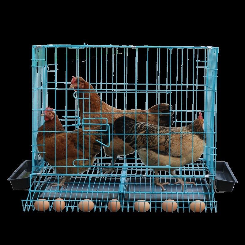65销量0鸡棚搭建小型家用a户外养家禽大号鸡笼小鸡宠物鸡舍围栏防雨