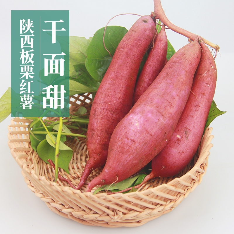 戈绿原秦薯板栗红薯干面甜红薯杨凌农科特产地瓜沙地番薯5斤