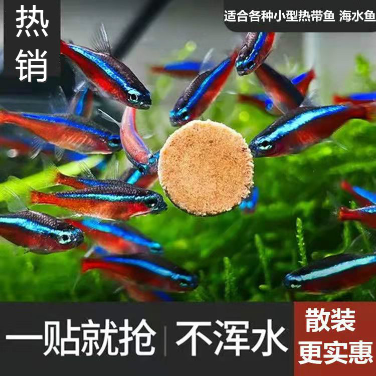 开口丰年虾贴片鱼食小型鱼饲料孔雀鱼鱼粮灯鱼斗鱼金鱼热带鱼通用