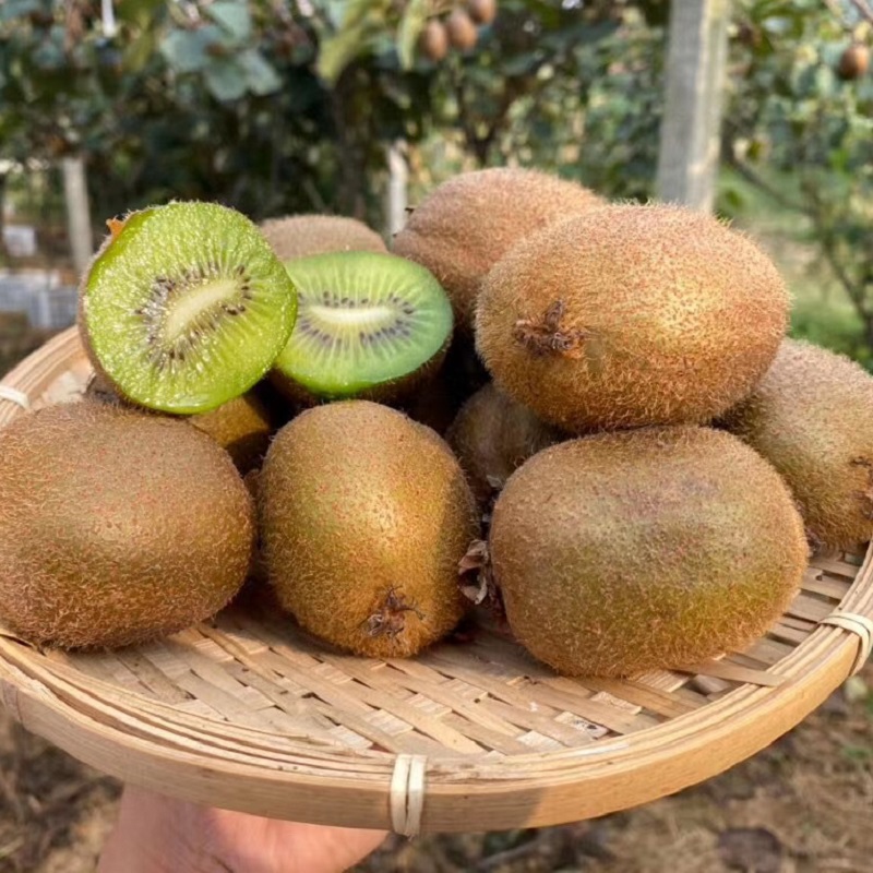 陕西眉县徐香猕猴桃新鲜水果包邮奇异果弥猴桃绿心当季整箱狝猴桃