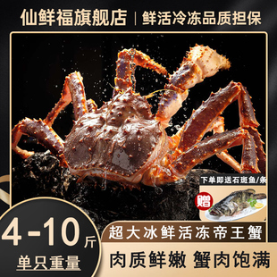帝王蟹鲜活冷冻超大螃蟹冰鲜特大俄罗斯皇帝蟹5到10斤1只海鲜水产