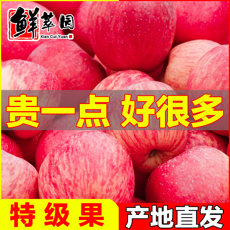 烟台红富士苹果水果新鲜整箱10斤带