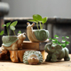 盆时代动物陶瓷花盆特价清仓简约水培绿萝可爱创意桌面植物卡通