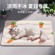 宠物冰垫凉窝凉席垫子狗窝猫咪夏季睡觉降温神器狗狗夏天睡垫凉垫