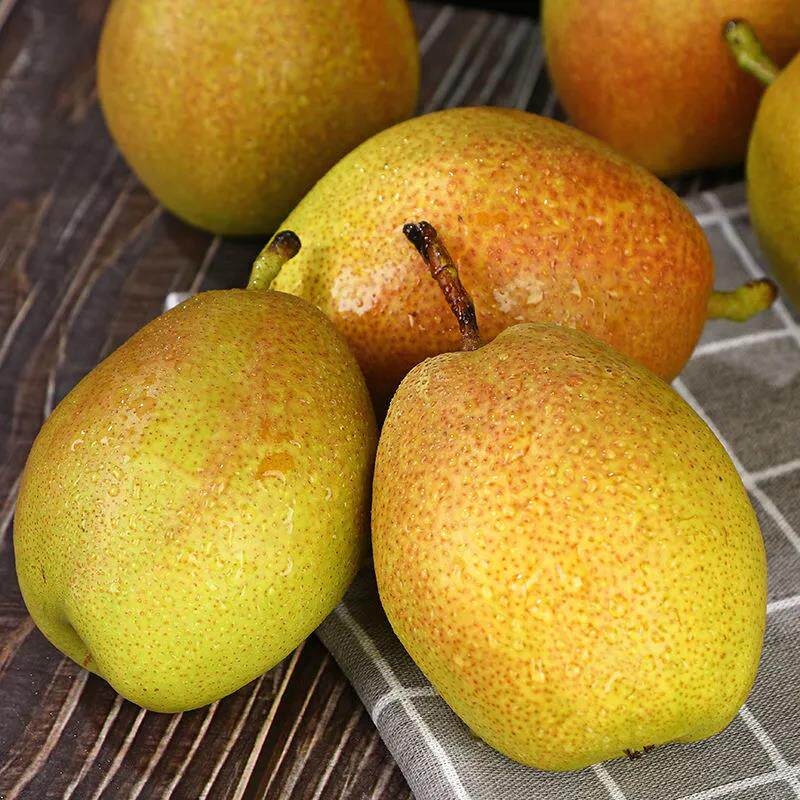 香梨新鲜10斤红香酥梨山西当季水果梨子包邮梨