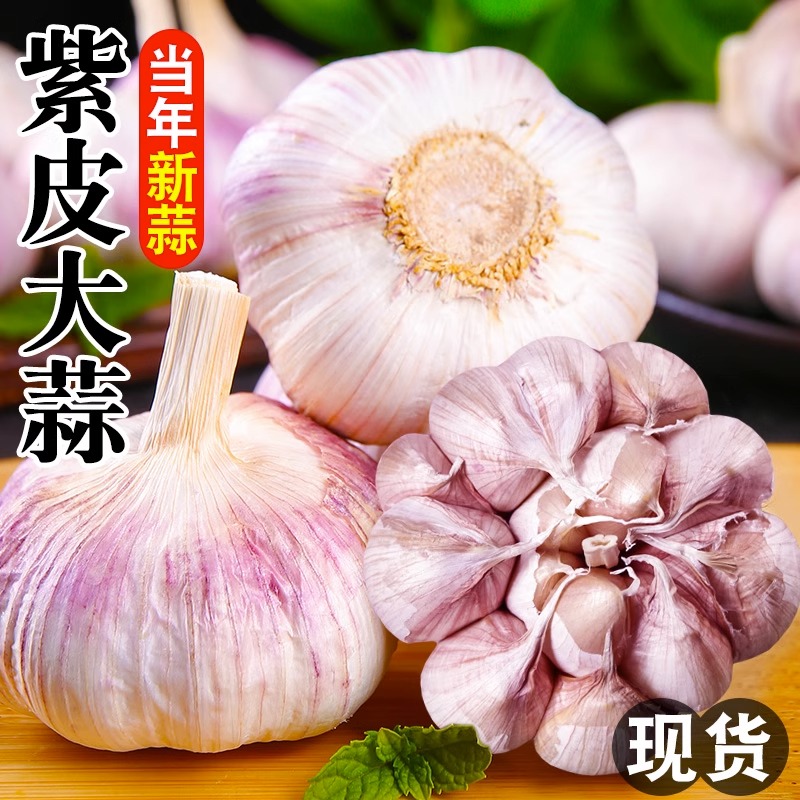 农家干大蒜新鲜9斤多瓣蒜自种蔬菜现