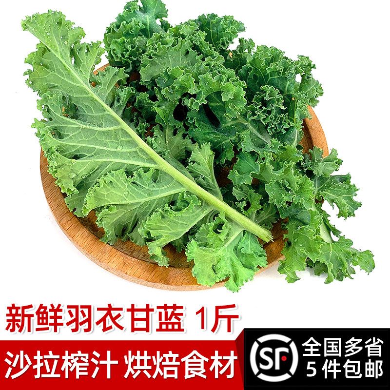 绿食者 羽衣甘蓝500g 新鲜蔬菜嫩叶芥蓝菜kale沙拉食材榨汁蔬菜