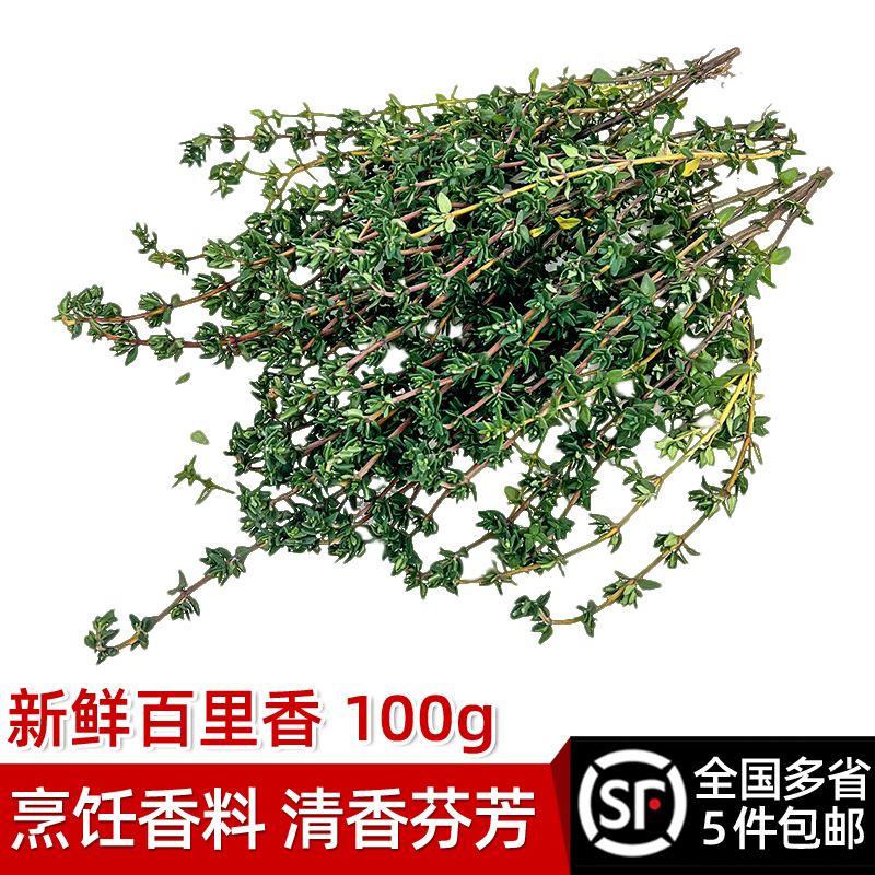 绿食者 百里香100g 新鲜香料 麝香草 山胡椒 西餐调料 牛排香料