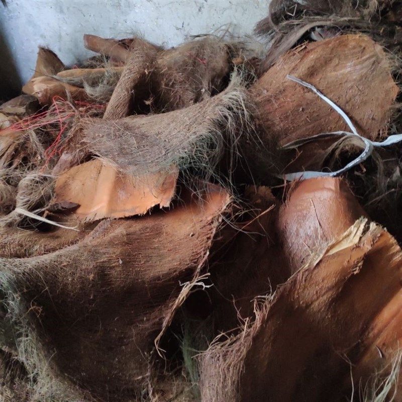 山棕树皮棕榈棕天棕柱s棕片棕叶丝棕垫棕皮椰皮棕衣榈然材料