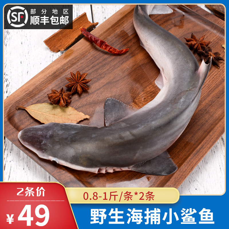 鲨鱼肉_鲨鱼肉折扣优惠券