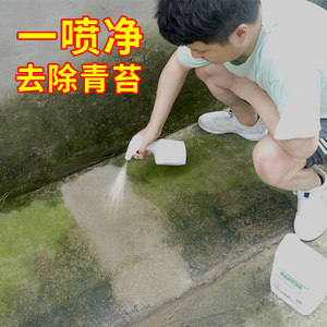 除青苔地面价格