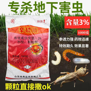 辛硫磷颗粒蛴螬千足虫蝼蛄地老虎专用地下害虫土壤杀虫剂农药大全