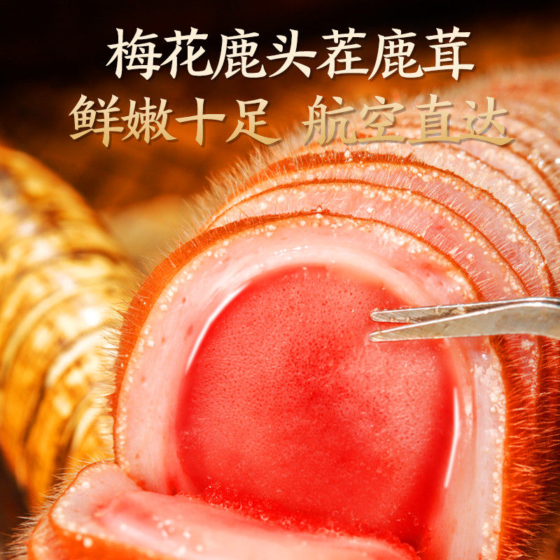梅花鹿茸片-特价促销-优惠券领取-价格|多少钱|什么牌子好-35优惠券