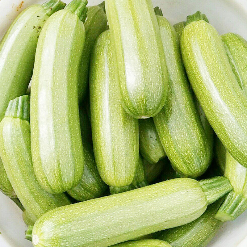 [澳洲发货-仅布里斯班指定区域]西葫芦盒zucchini tray