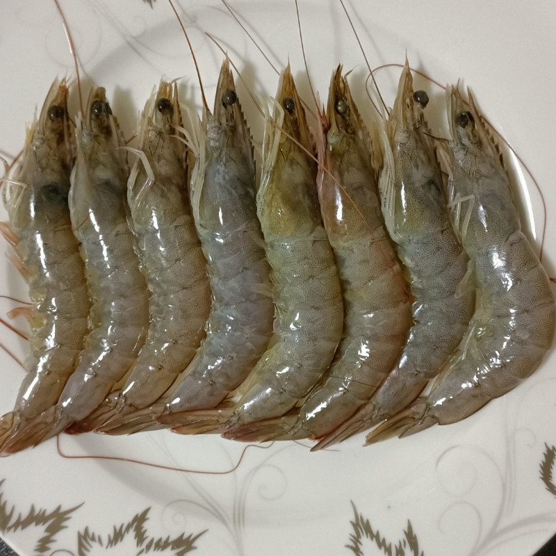 国产湛江大青虾冻虾大虾鲜活海鲜水产特大超大基围虾鲜虾海虾速冻