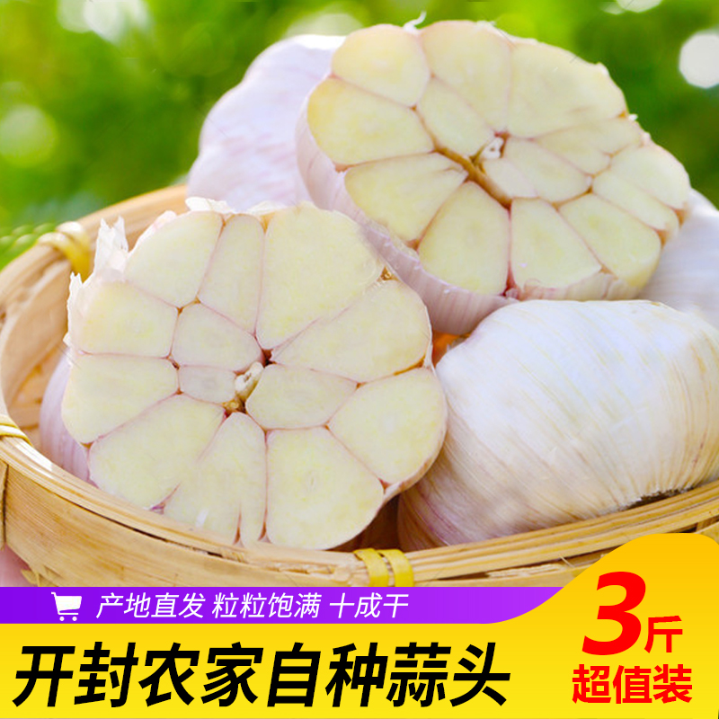 蒜大蒜头干蒜3斤紫白皮大蒜头2021新蒜籽多瓣非5斤蒜种籽低价包邮在类目 水产肉类/新鲜蔬果/熟食, 新鲜蔬菜/蔬菜制品, 大蒜中 - 来自Buy2taobao.com提供专业的淘宝代购服务