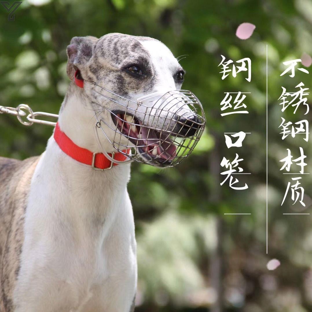 母猪猪嘴套防钢丝口笼不锈钢材质惠比特细犬宠物狗嘴套