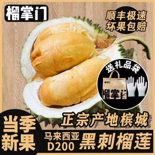 榴掌门黑刺榴莲新鲜D200马来西亚进口冷冻液氮带壳水果顺丰包邮