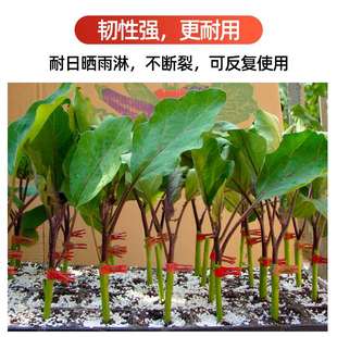 寿光蔬菜嫁接夹黄瓜番茄西瓜苗通用专用塑料瓜苗植物工具小夹子