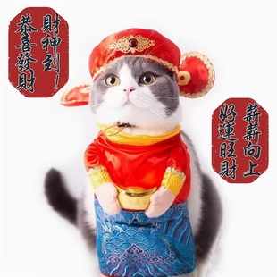 宠物猫咪狗狗衣服搞怪搞笑恶搞可爱抖音网红春夏幼猫泰迪比熊法斗