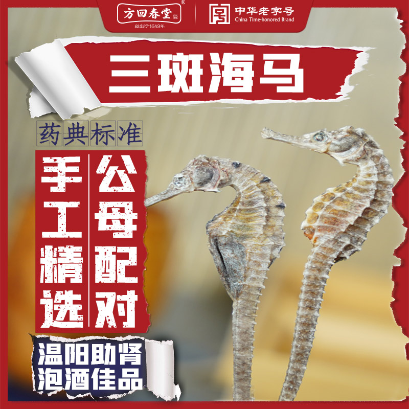 海马干