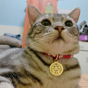 【猫铃铛项圈刻字日本和风图片】猫铃铛项圈刻字日本和风图片大全_好